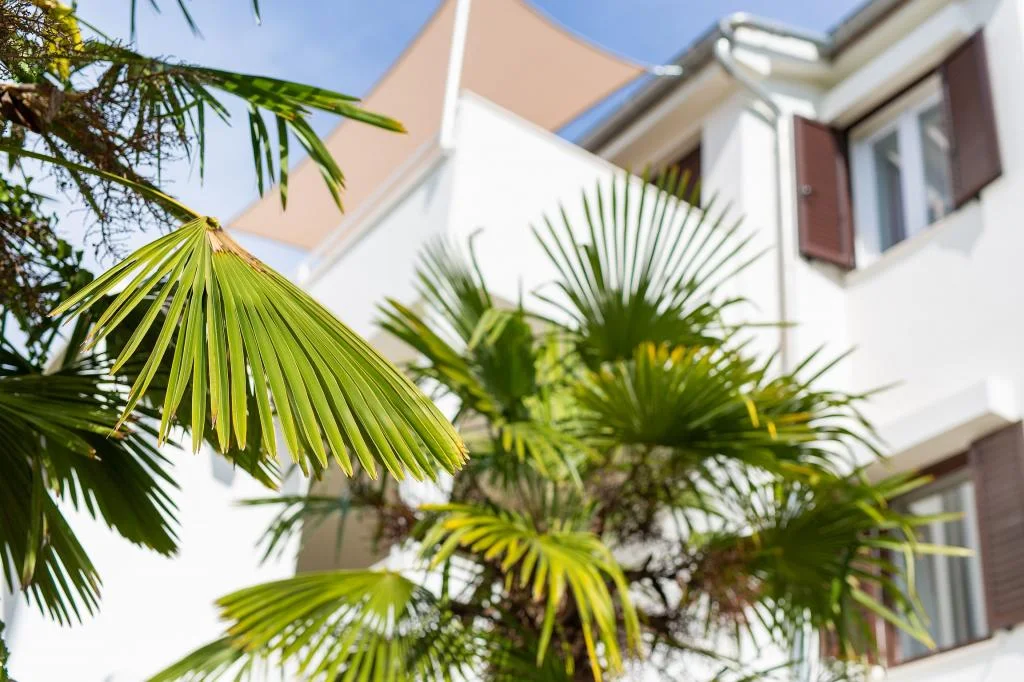 Apartmani Meri – fotografija 3