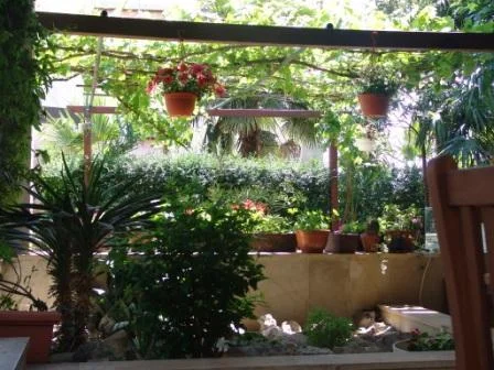 Apartmani Villa Martin – fotografija 4