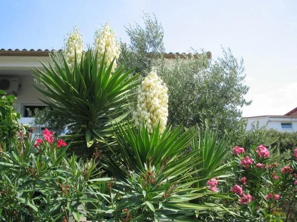 A4 – fotografija 2