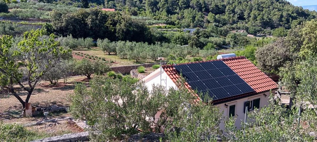 Olea – fotografija 6