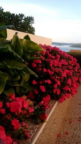 Apartmani Plava Laguna – fotografija 6