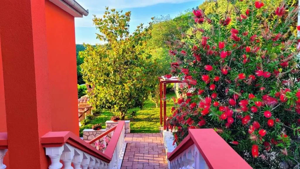 Apartmani Ana – fotografija 6