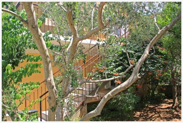 Apartmani Marea – fotografija 4