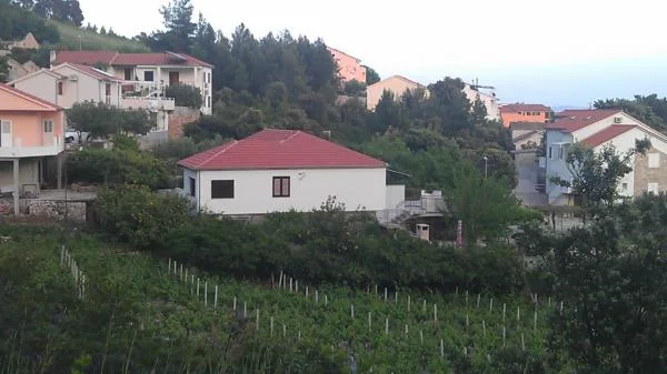 Apartmani Sandro – fotografija 3