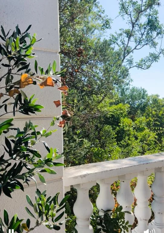 Apartmani Zlatna Maslina – fotografija 5