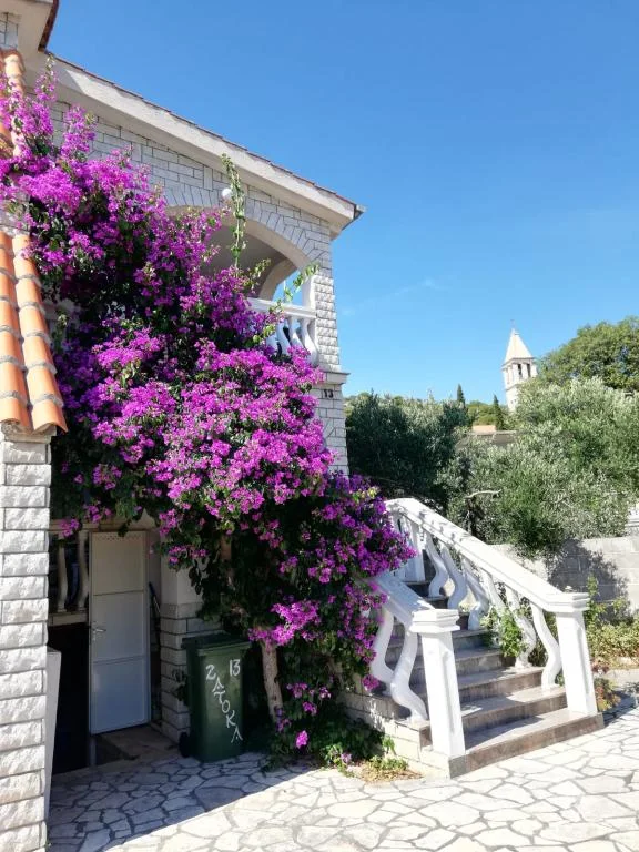Apartmani Nina – fotografija 4