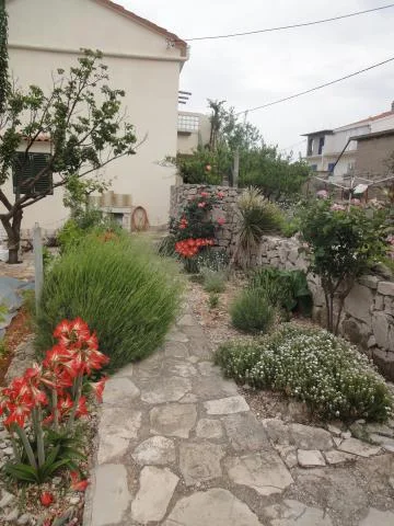 Apartmani Villa Ana – fotografija 5