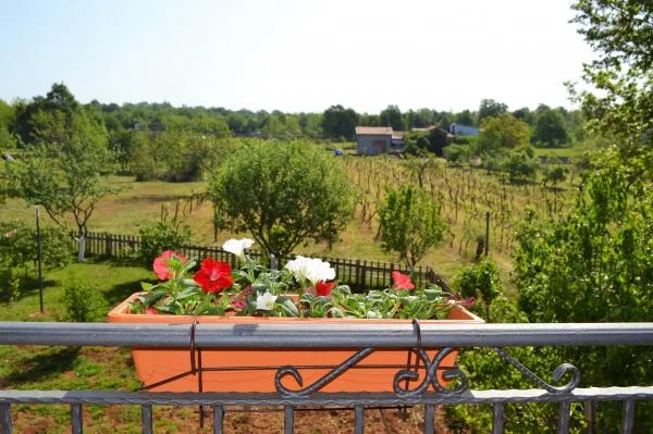 Apartmani Marko – fotografija 6
