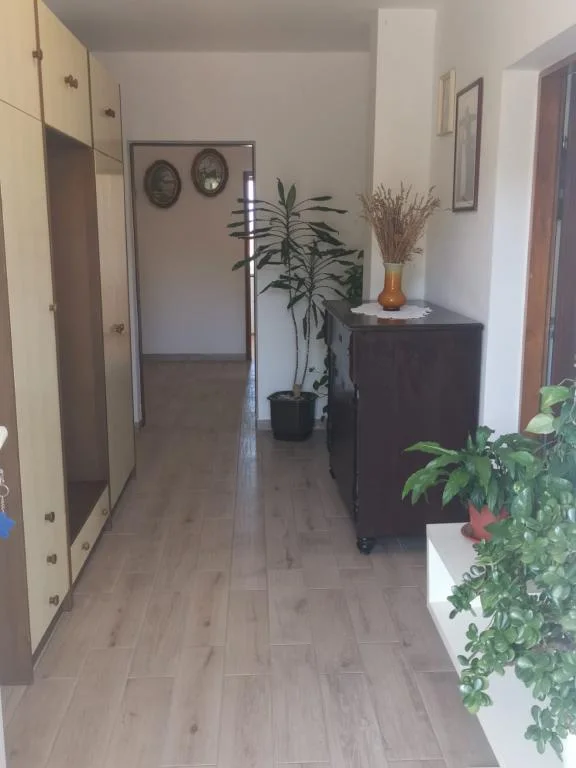 Apartmani Levina – fotografija 3