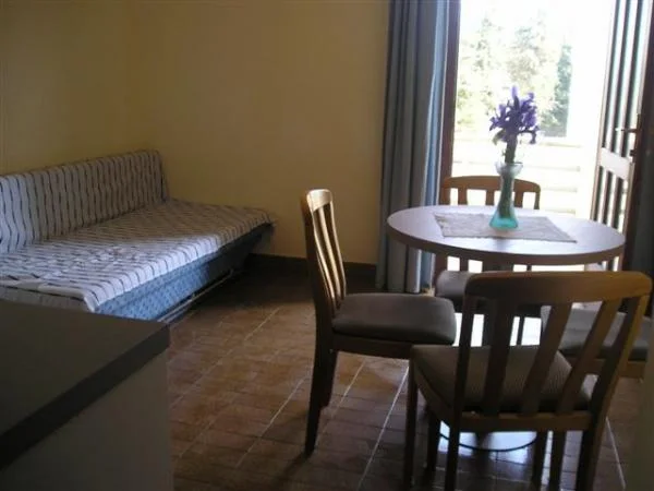 Apartmani Gabi – fotografija 6