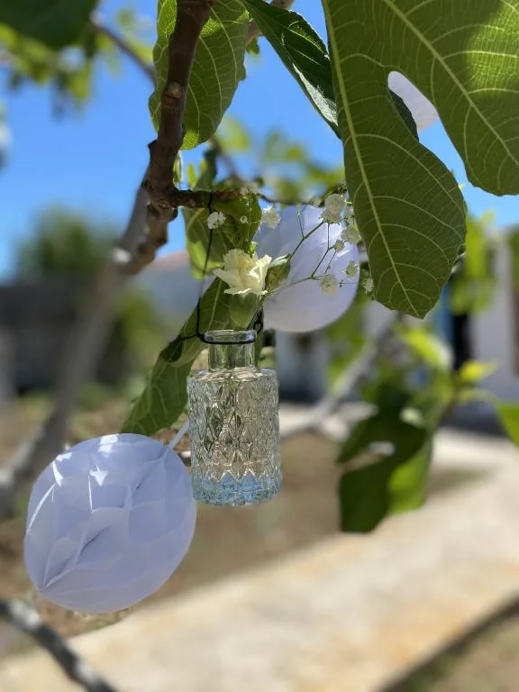 Apartmani Perlica – fotografija 3
