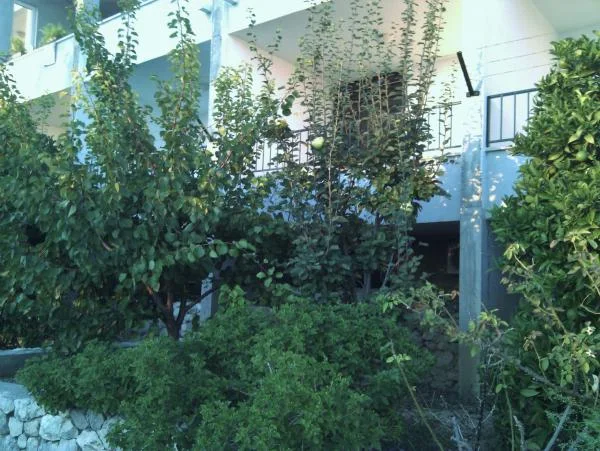 Apartmani Brusje – fotografija 4