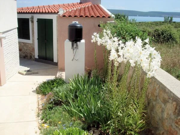 Apartmani Villa Vanda – fotografija 3