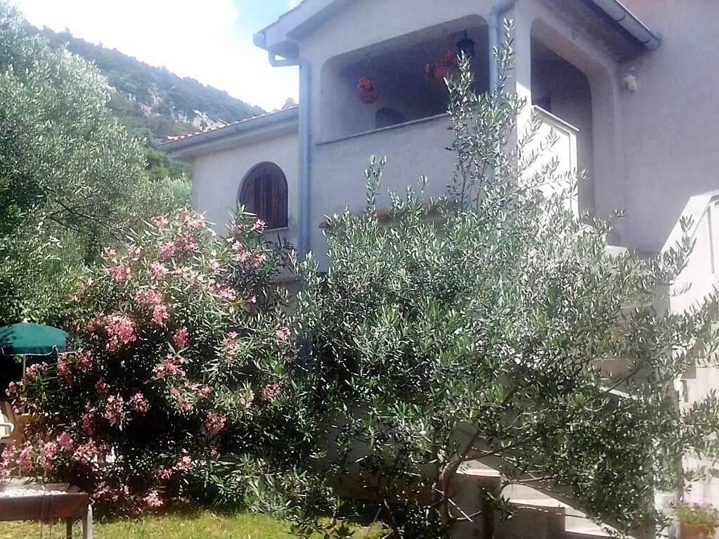 Apartmani Bešić – fotografija 6