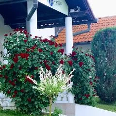 Apartmani SMX – fotografija 4
