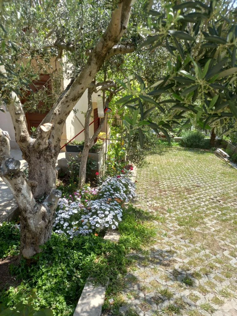 Apartmani Sunag – fotografija 3