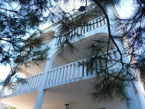 Apartmani Falkusa – fotografija 4
