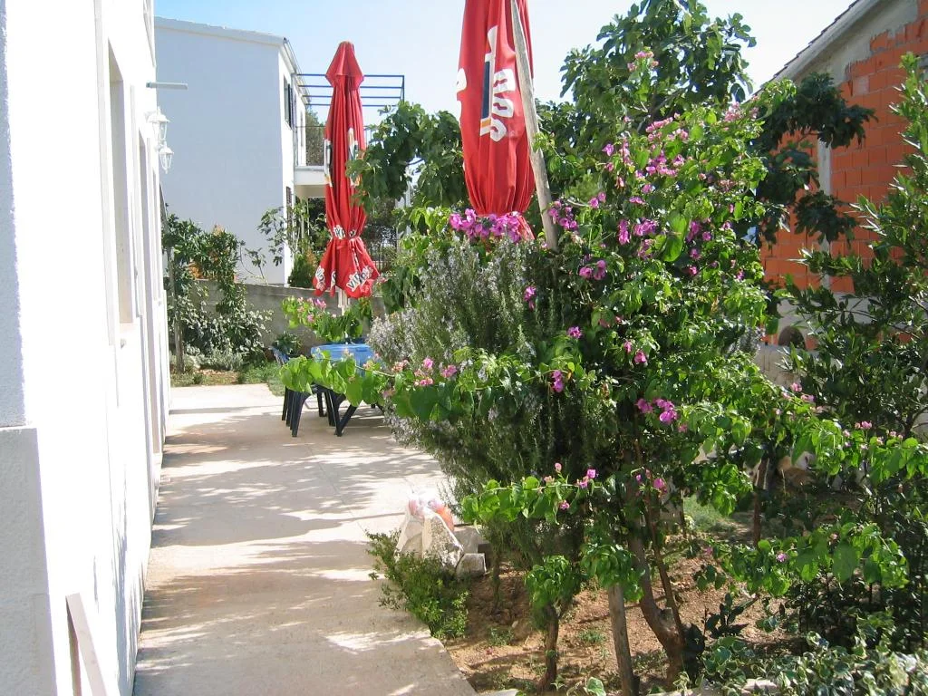Apartmani Maslina – fotografija 6