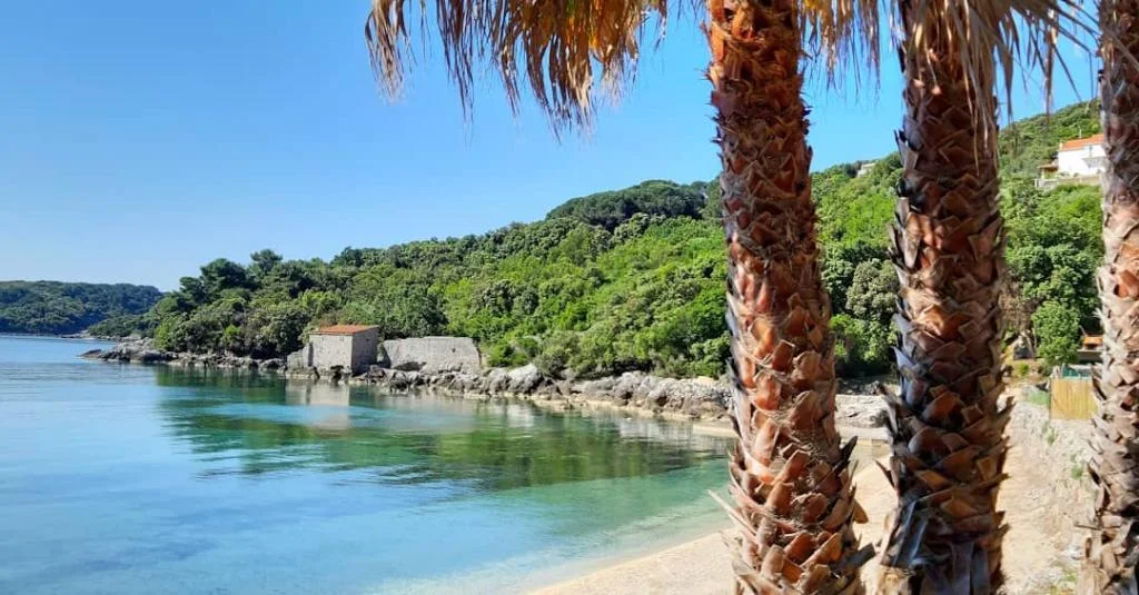 Apartmani Villa Ana – fotografija 4