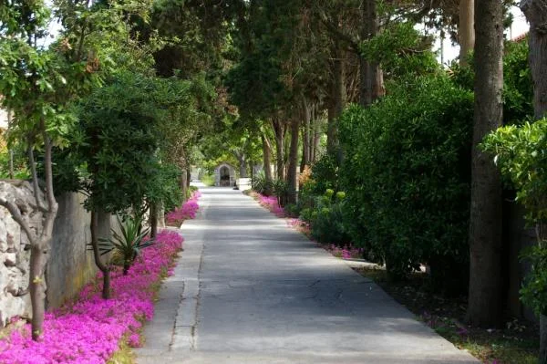 Apartmani Rosa – fotografija 4
