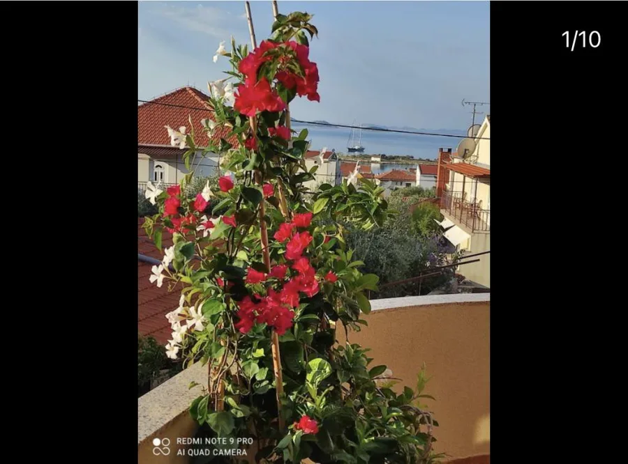 A6+2 – fotografija 2