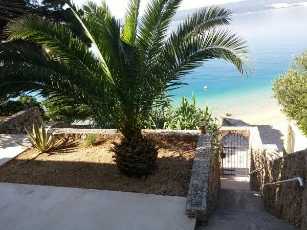 Apartmani Villa Burin – fotografija 4