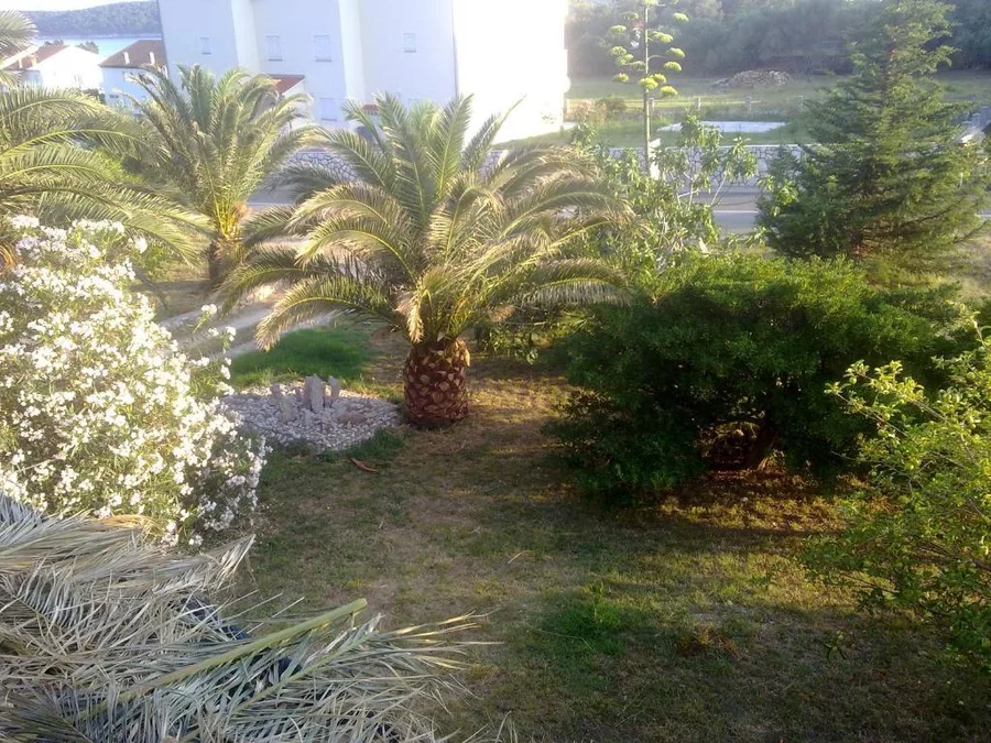 Apartman Maris – fotografija 2