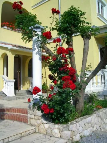 Apartmani Villa Marija – fotografija 5