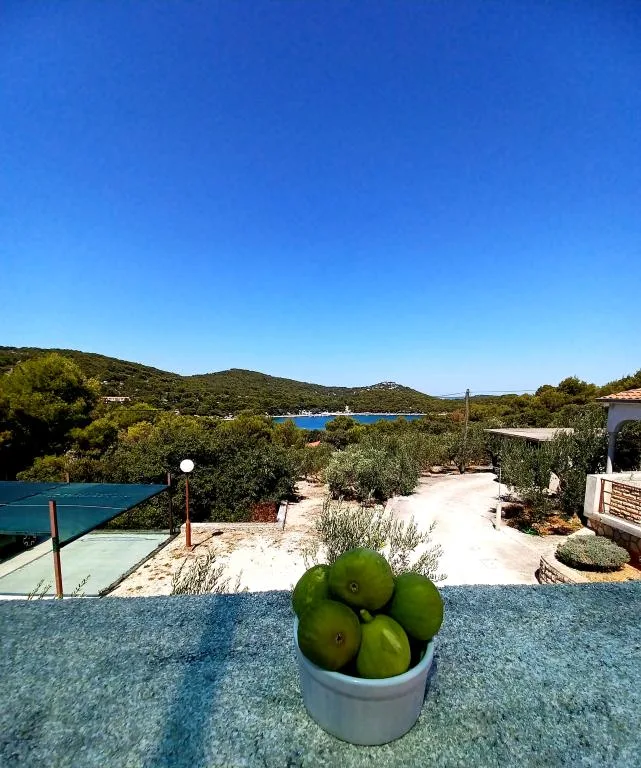 Apartmani Milka – fotografija 2