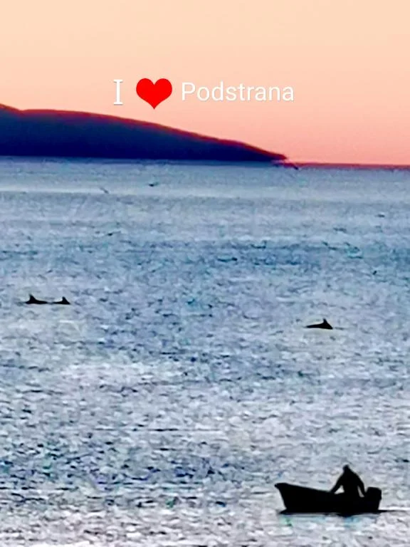 Apartmani Božiković – fotografija 5