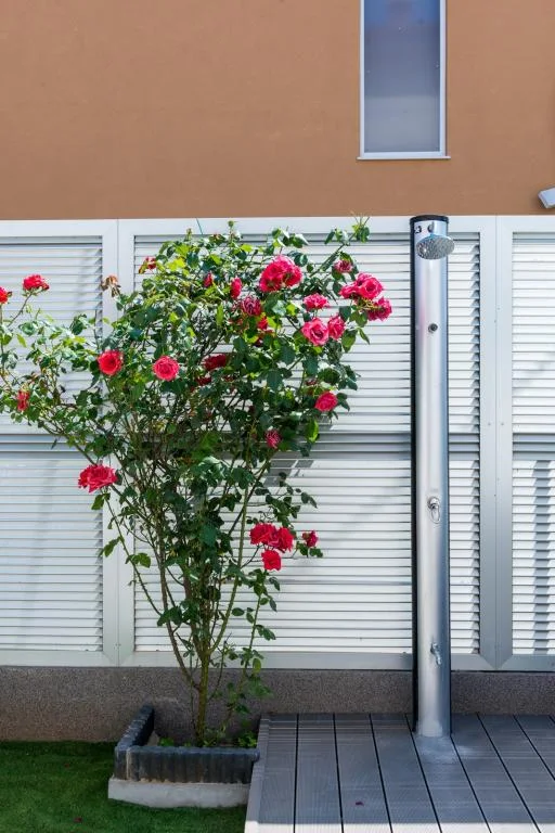 Apartmani Rodin – fotografija 6