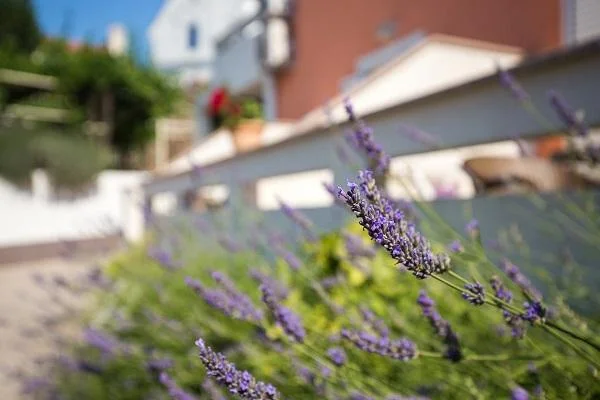 Apartmani Meri – fotografija 3