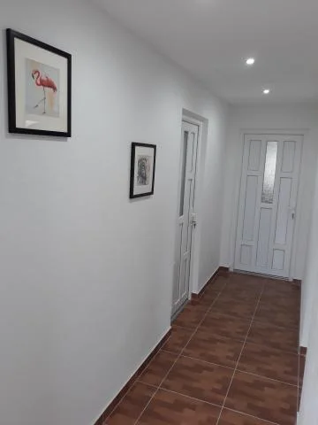 Apartmani Živko – fotografija 3