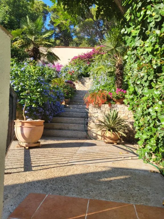 Apartmani Bojanic – fotografija 2