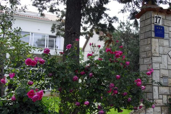 Apartmani Maslina – fotografija 2