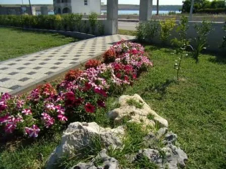 Apartmani Stojić – fotografija 6