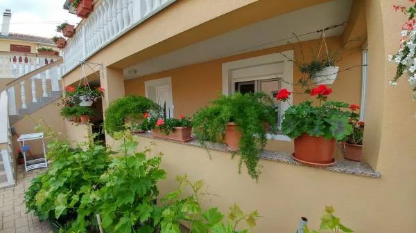A5 – fotografija 2