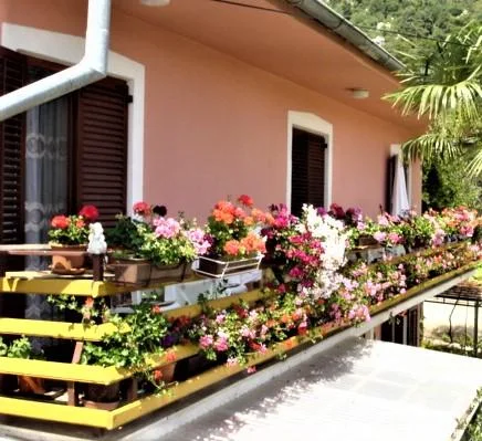 Apartmani Villa Tatjana – fotografija 3