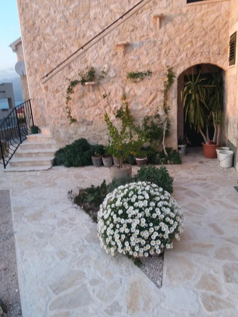 Apartmani Wild Wind – fotografija 6