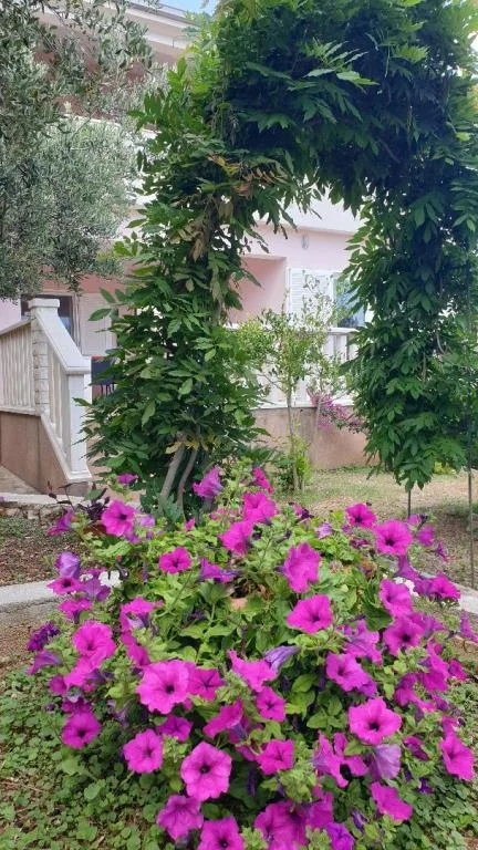Apartmani Škerlep – fotografija 5