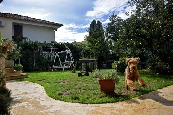 Apartmani Vila Vinodolka – fotografija 4
