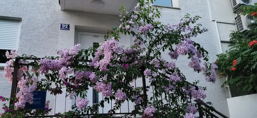 Apartmani Perunika – fotografija 2