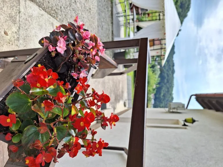 Apartmani Huško – fotografija 5