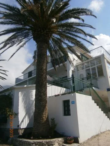Apartmani Villa Tri Palme – fotografija 3