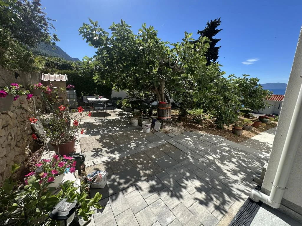 Apartmani Elena Branko – fotografija 3