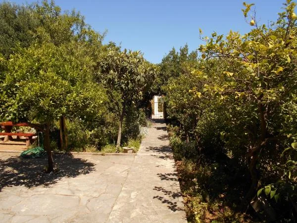 Apartmani Leo – fotografija 4