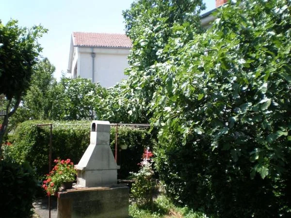 Apartmani Jeličić – fotografija 5