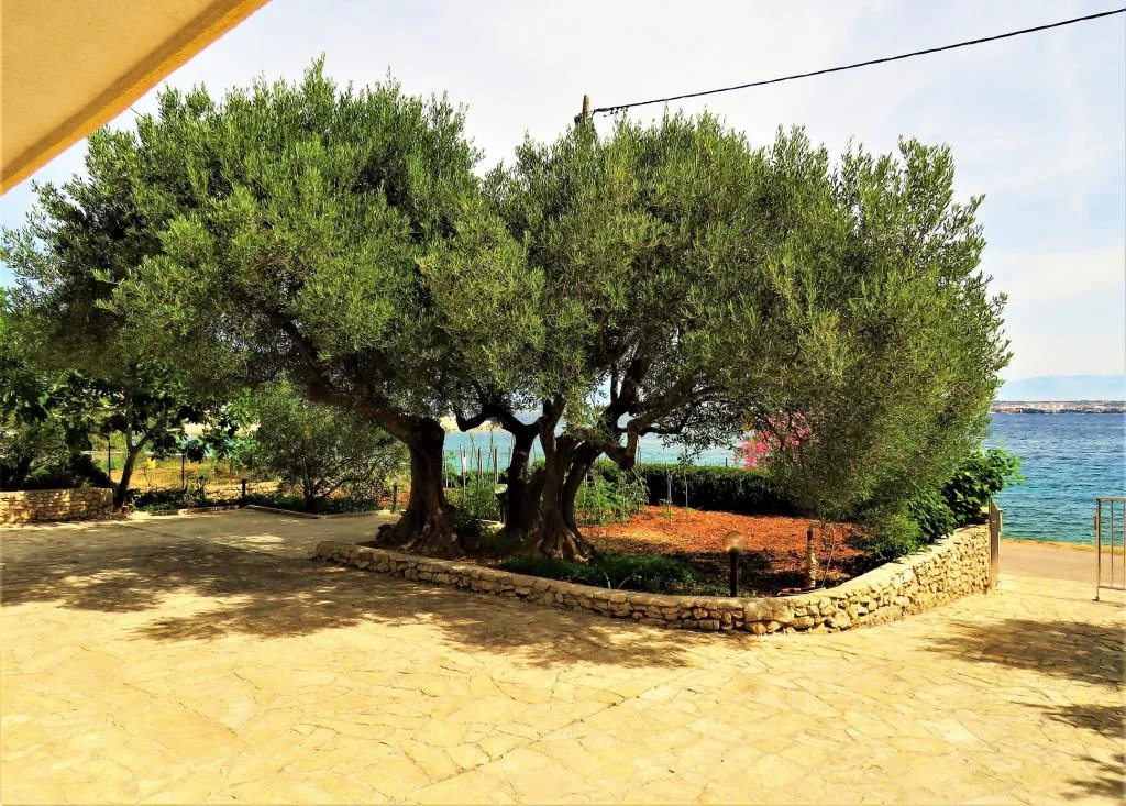 Apartmani Mirela – fotografija 6