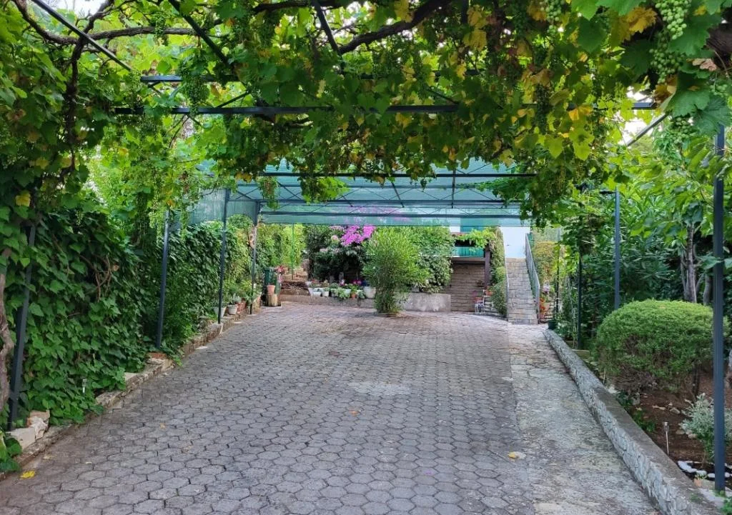 Apartmani Kandijaš – fotografija 6