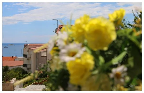 Apartmani Ivan – fotografija 6